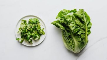 Flat lay of romaine lettuce and mixed greens on a plate, perfect for healthy eating.