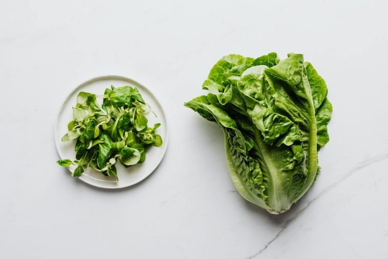 Flat lay of romaine lettuce and mixed greens on a plate, perfect for healthy eating.