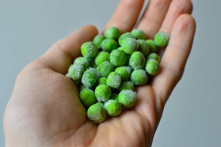 Close-up of a hand holding frozen green peas, showcasing freshness and texture.