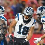 This Salad’s a Wild Card