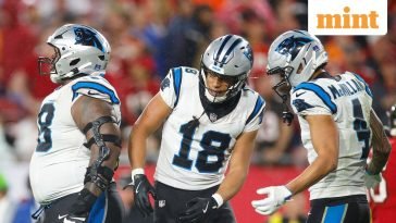 This Salad’s a Wild Card