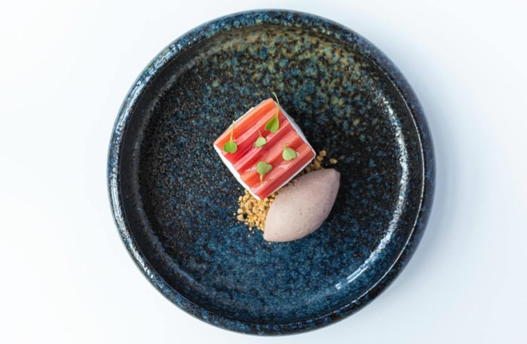 Top view of a gourmet rhubarb dessert with ice cream on a beautiful ceramic plate.